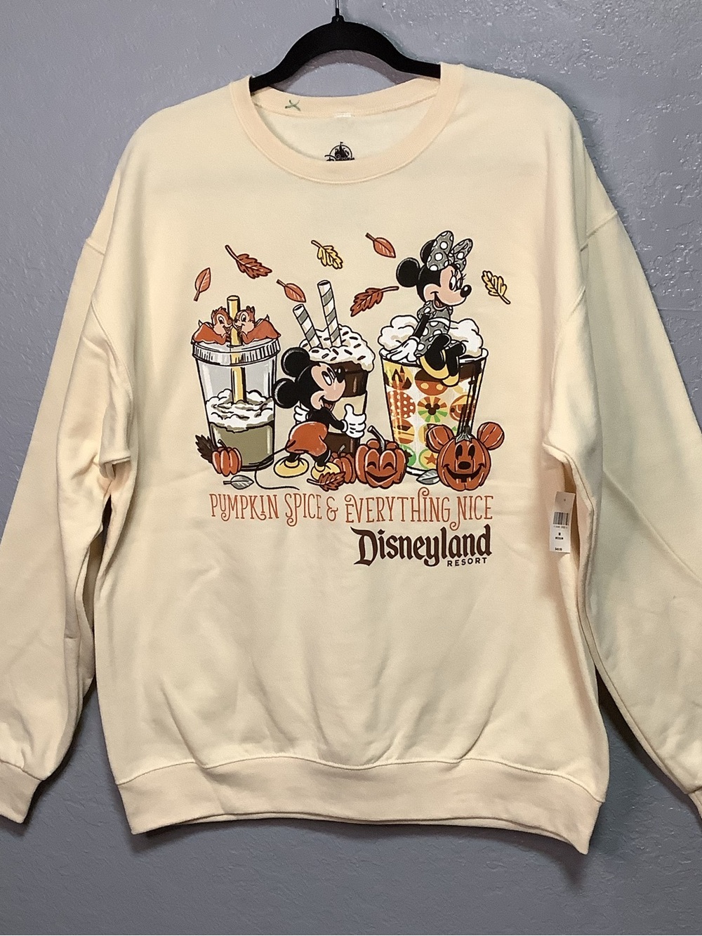 Disneyland Resort ~ Halloween ~ Pumpkin Spice & Everything Nice ~ Sweatshirt M-L - Picture 5 of 16